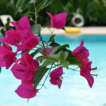 Otel Tuncer Garden 3*